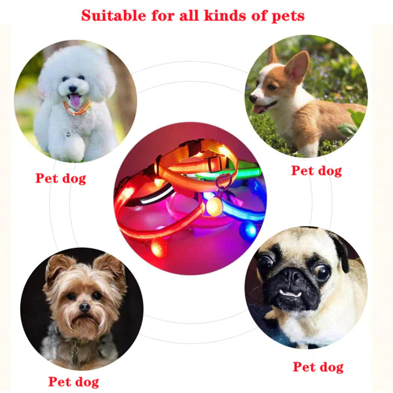 Adjustable LED Dog Collar - Waterproof Flashing Safety Glow