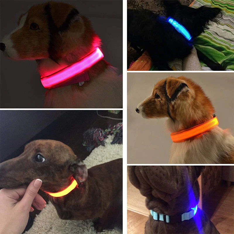 Adjustable LED Dog Collar - Waterproof Flashing Safety Glow